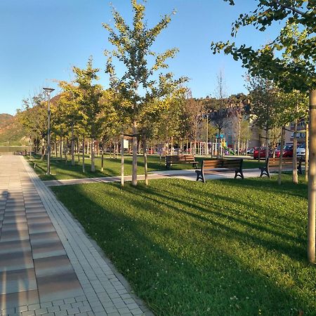 Apartman Sani Donji Milanovac Εξωτερικό φωτογραφία