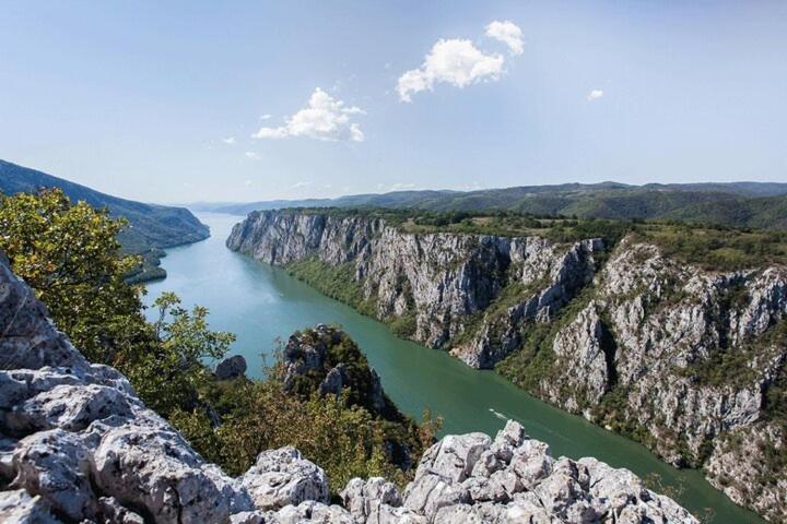 Apartman Sani Donji Milanovac Εξωτερικό φωτογραφία