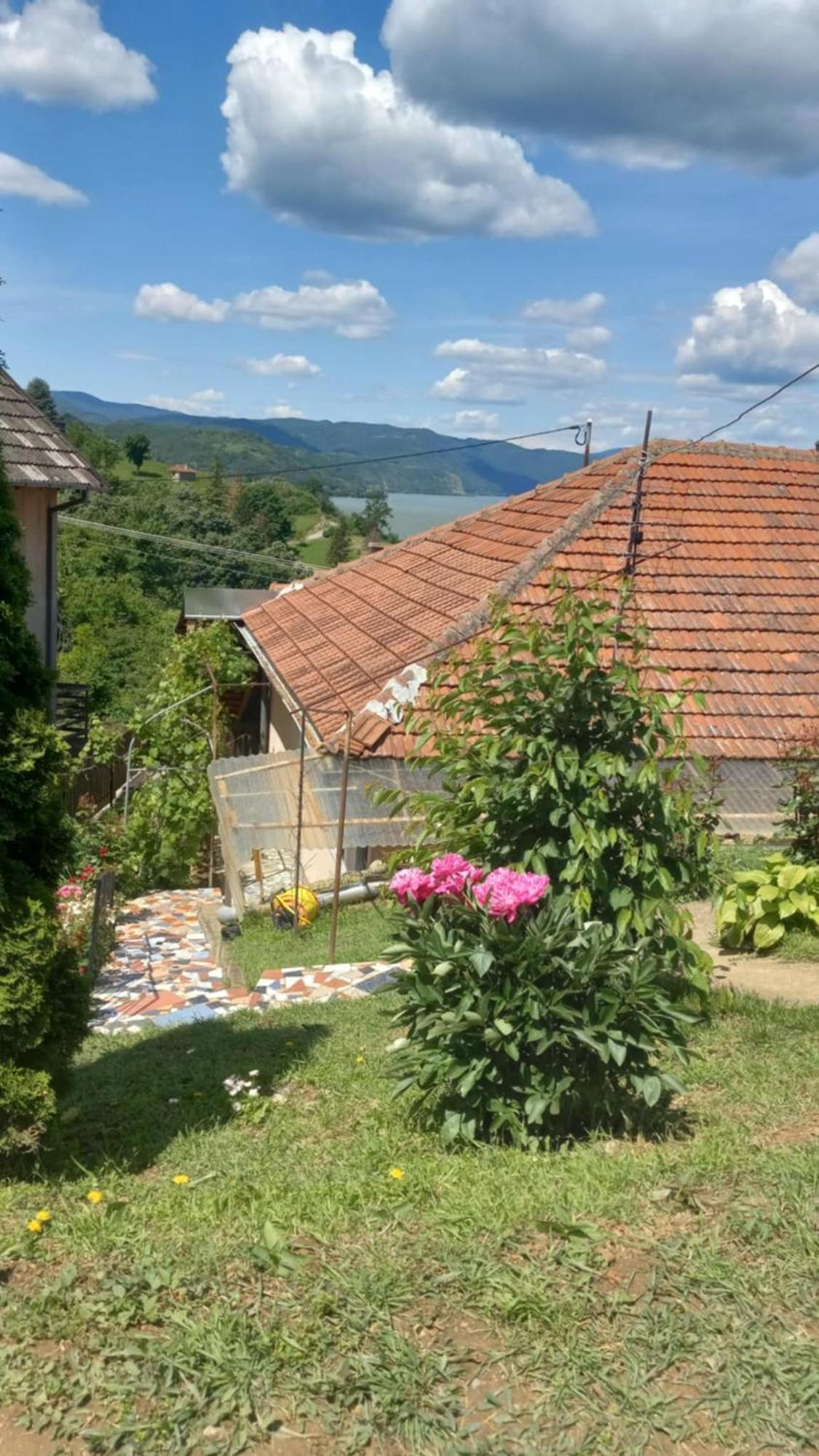 Apartman Sani Donji Milanovac Εξωτερικό φωτογραφία